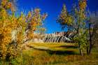 USA, South Dakota, Wall, Badlands National Park, Buttes framed by Fall Colorful Trees Art Print